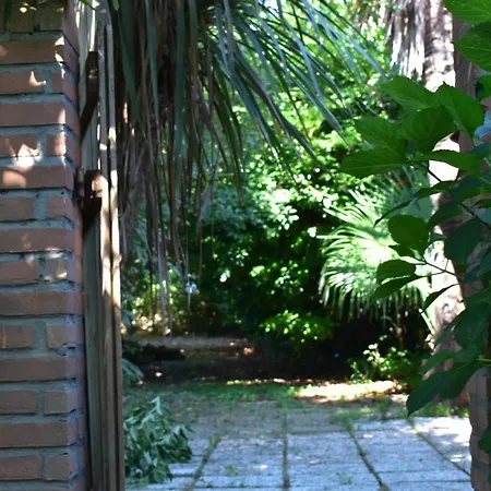 Oasi Busiola Chalet *