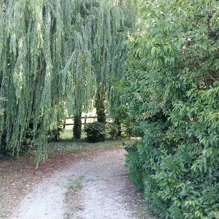 Oasi Busiola * Chioggia